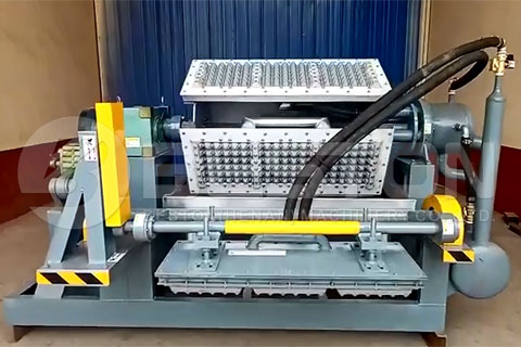 Beston Egg Carton Machine