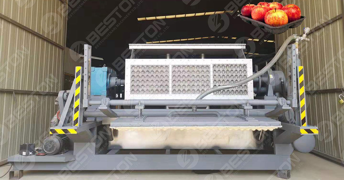 Apple Tray Making Machine for Sale