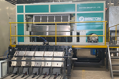 Beston BTF5-8 Egg Tray Making Machine in Russia